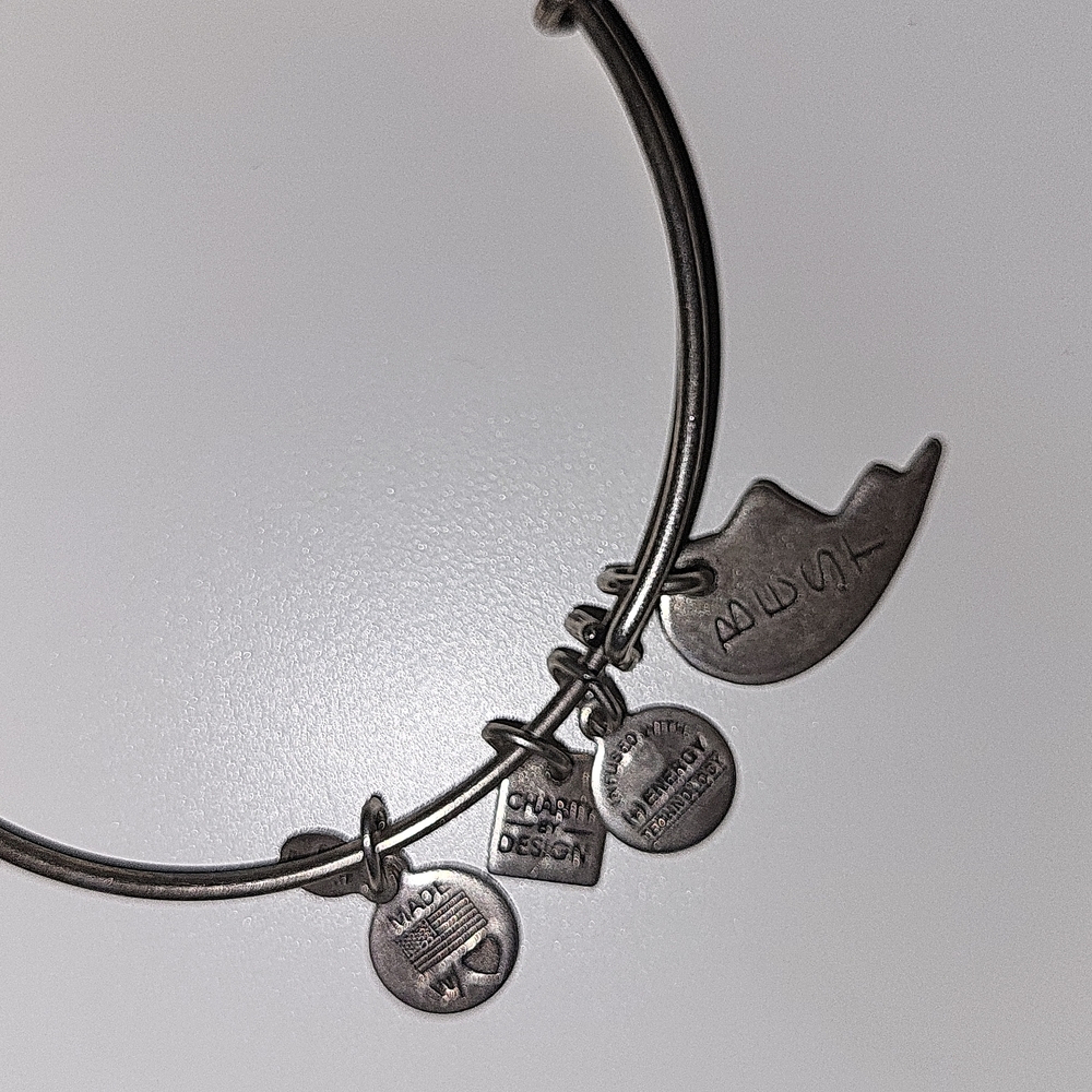 EUC Alex and Ani "best" bracelet - Picture 2 of 2